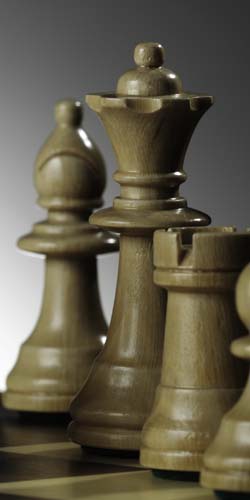 chess_08.jpg